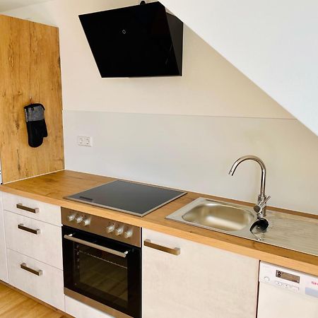 Stadtoase Geraeumige Gaestewohnungen Mit Balkon, Komfort, Modernitaet Und Ruhe, Fuer Monteure Geeignet, Free Wifi Frankenberg Exteriör bild